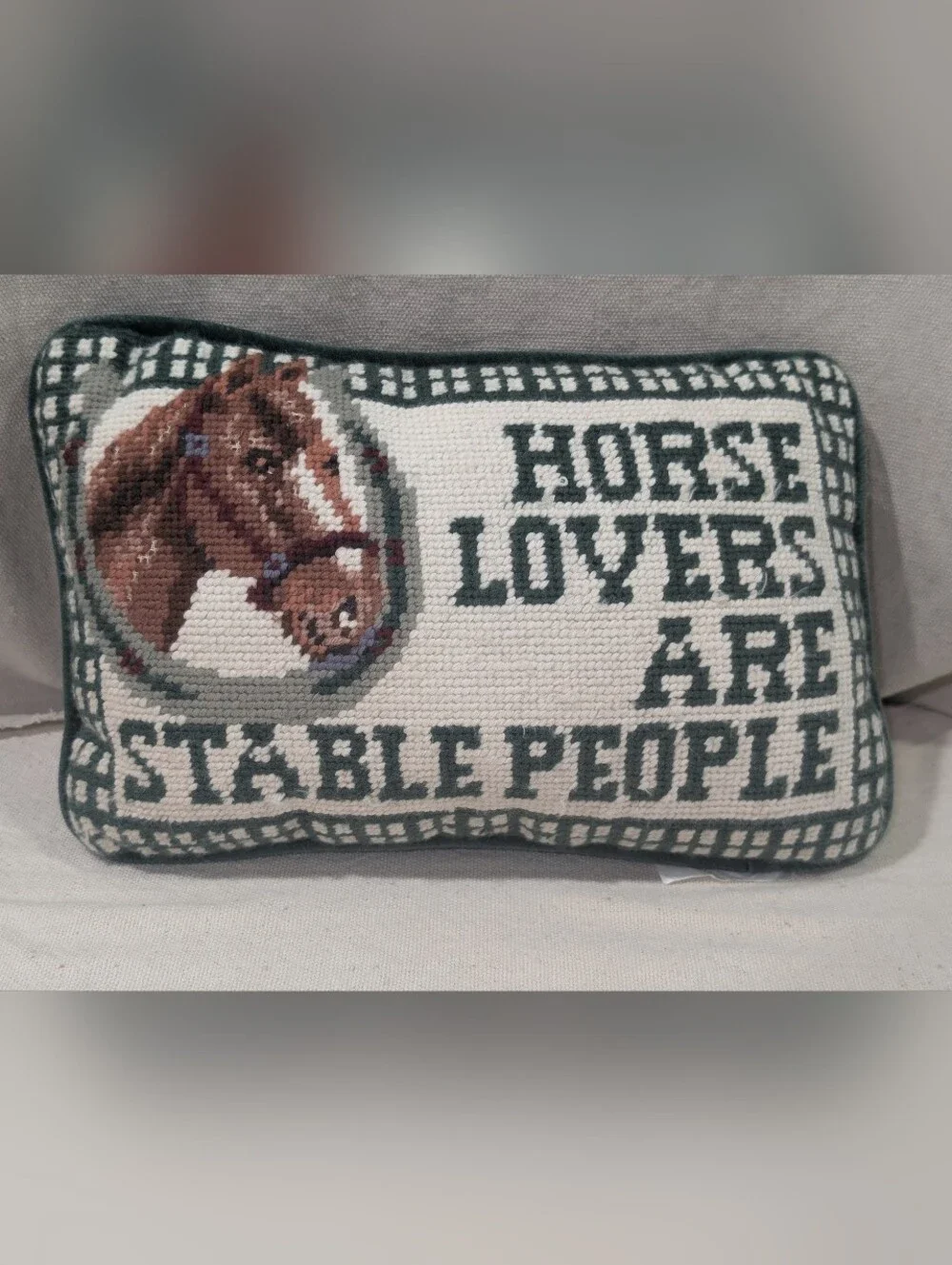 Horse Lovers Are Stable People Needlepoint Throw Pillow Novelty Equestrian Vntg